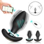 Big Boat Anchor Swing – Telefon Kontrollü Titreşimli Anal Plug (Siyah)